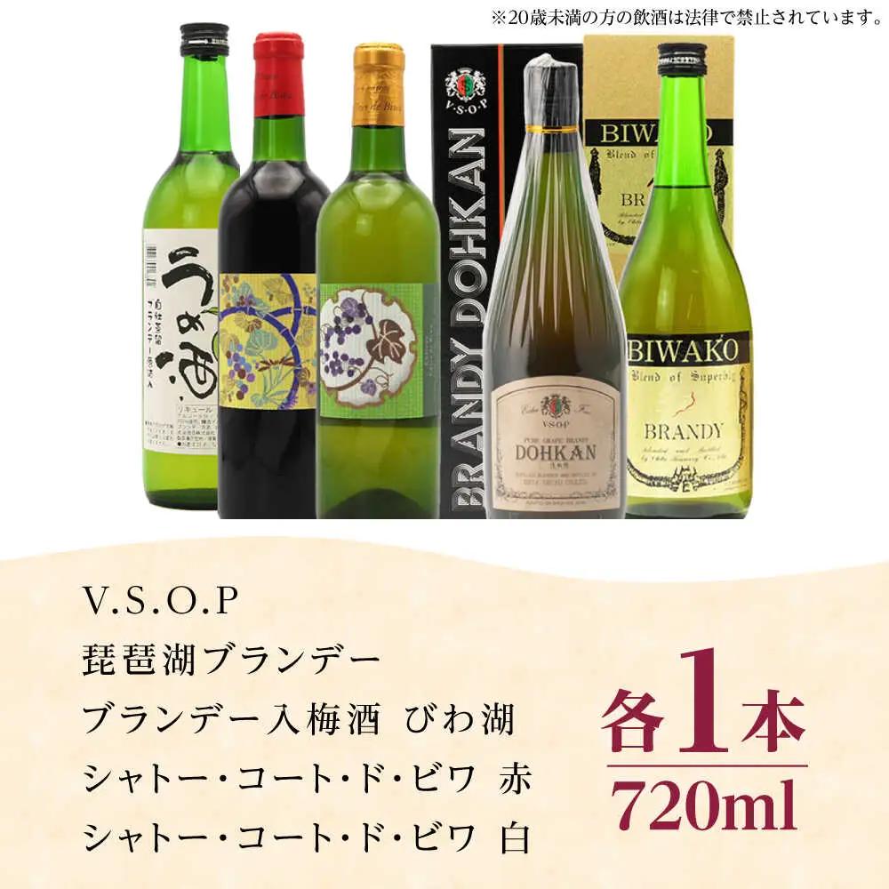 ワイン・ブランデー・梅酒セット BIAC010 梅酒