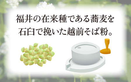 越前生そば 10食入（110g/1食）だし付 [A-067002] / そば そば
