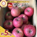 【ふるさと納税】《 先行予約 》【 訳あり 】 サンふじ 5kg ( 配送時期が選べる 12月 1月) / 不揃い 規格外 りんご 林檎 アップル 常温保存 秋 旬 果物 くだもの フルーツ 国産 常温保存 青森県 五所川原市