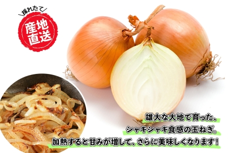 《期間限定》北海道 士幌産 たまねぎ 玉ねぎ タマネギ 玉ネギ 玉葱 10kg (2025年12月発送予定)  採れたて オニオン 旬の野菜 期間限定 新鮮 野菜 産地直送 産直 お取り寄せ 送料無料