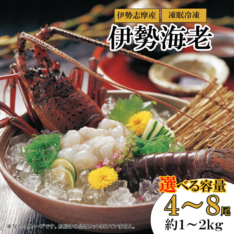 【ふるさと納税】凍眠冷凍伊勢海老 選べる容量 1kg～2kg 伊勢志摩産伊勢えび 刺身 冷凍