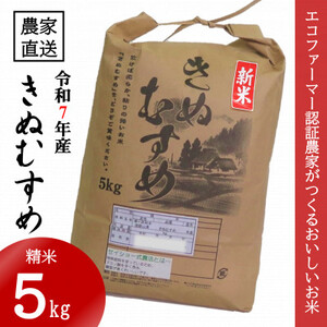 ★令和7年産新米★ 米 きぬむすめ 精米 5kg(令和7年10月～順次発送)【1585419】