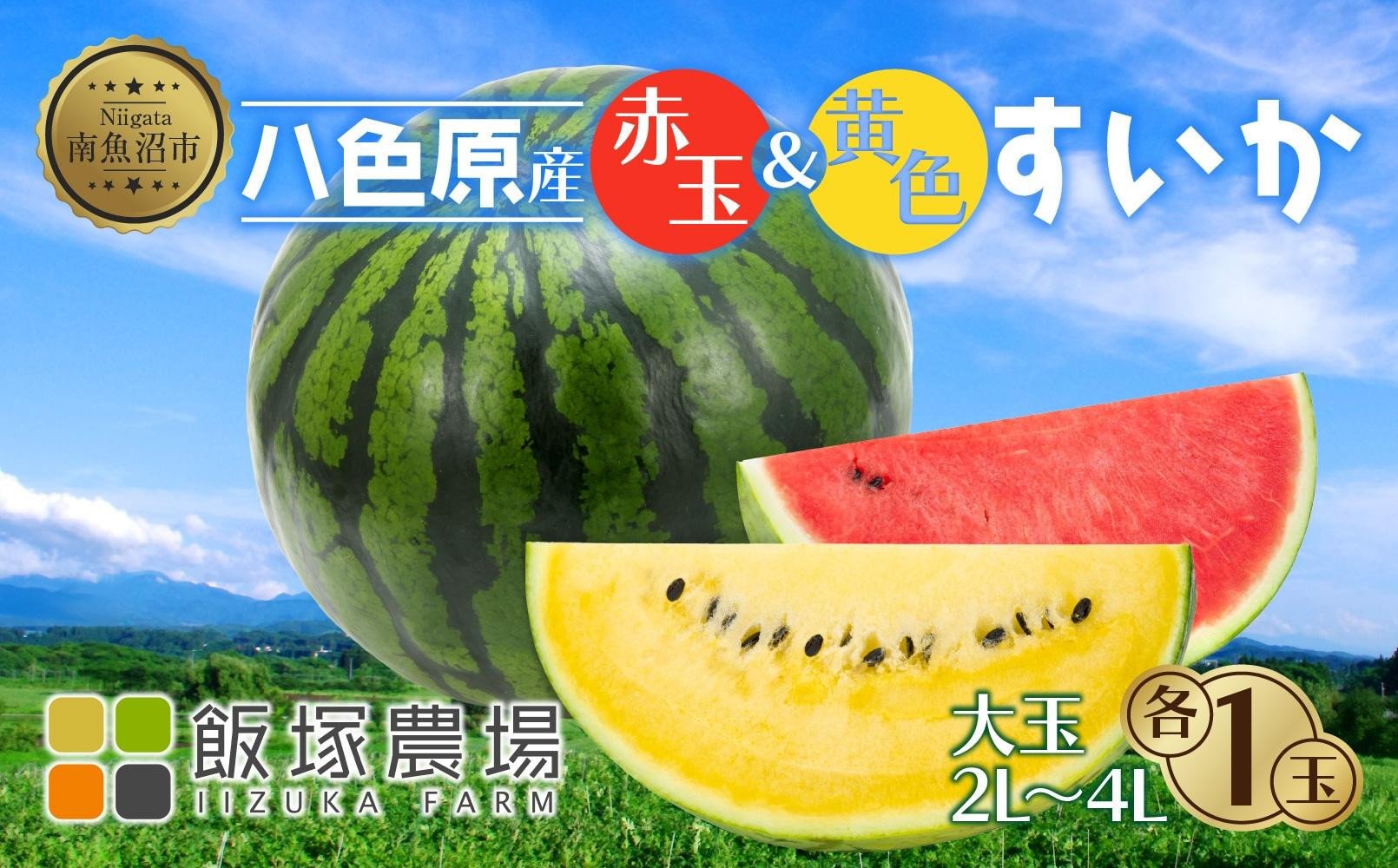 
            【先行受付】 八色原産 赤玉＆黄色 すいか セット 2～4L 計2玉 スイカ 大玉 金色羅王 西瓜 果物 フルーツ 旬 希少 貴重 甘い 国産 産地直送 食べ比べ お取り寄せ 送料無料 飯塚農場 新潟県 南魚沼市
          