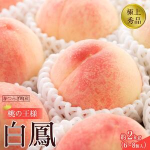 先行販売！【モモ】 白鳳　桃の王様！約2kg6～8個 【2025年6月下旬頃より順次発送】【秀品】こだわり農家厳選 【KG12】桃桃桃桃桃