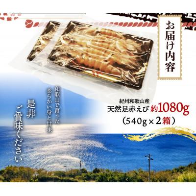 ふるさと納税 北山村 天然足赤えび540g×2箱化粧箱※2026年12月上旬頃〜2027年2月上旬頃発送【uot773A】 |  | 01