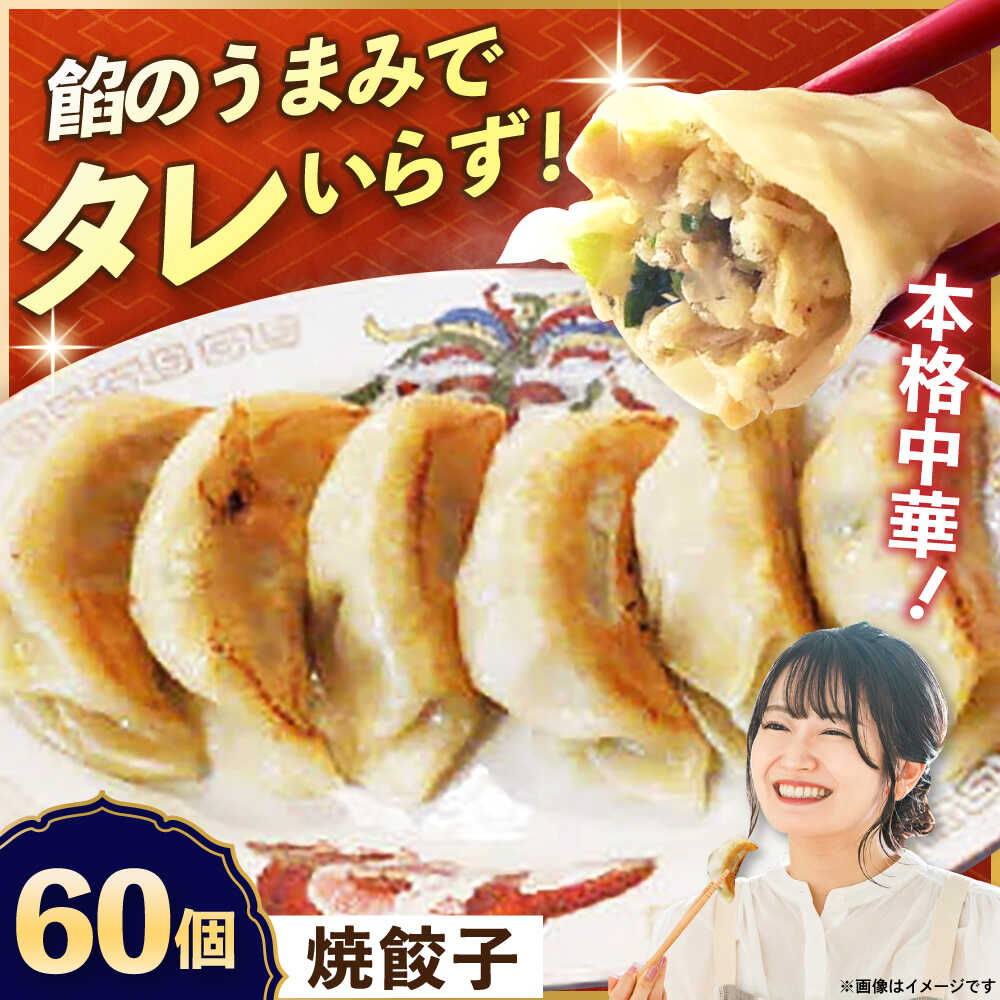 【ふるさと納税】【テレビで紹介されました！】冷凍 焼餃子 60個 ジューシー モチモチ 自家製 餃子 ぎょうざ 中華【横須賀商工会議所 おもてなしギフト事務局（上海亭）】お取り寄せ おかず つまみ ビール 簡単 本格 肉厚 肉汁 焼ぎょうざ ギョーザ 惣菜 パーティー[AKED003]