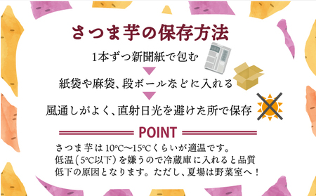 【さつまいも】秀品 サツマイモ 5kg ta032