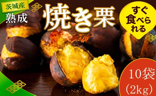 【先行受付】 栗 焼き栗  10袋 大粒 令和8年産 完熟 栗 くり クリ kuri / 栗ごはん 栗スイーツ 2026年度産 国産 味覚 焼きぐり やきぐり 和栗 わぐり 先行受付 秋の味覚 マロン 生くり 甘栗 焼き栗 ゆでぐり 料理 和菓子 炊き込みご飯 ごはん 栗きんとん 数量限定 贈答 ギフト 数量限定 旬 秋 冬 正月 おせち 茨城県 筑西市 関東