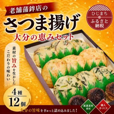 ふるさと納税 日出町 さつま揚げ(天ぷら) 大分の恵みセット 4種/12個入り