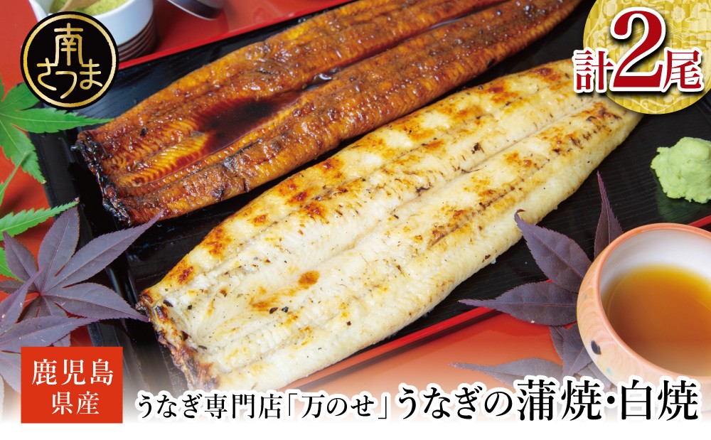 
                  鹿児島県産 鰻 蒲焼・白焼セット［2種］うなぎ専門店「万のせ」加工品 詰め合わせ 詰合わせ ギフト 贈答 贈り物 手土産 御祝 お祝い 鹿児島うなぎ 鰻 ウナギ スタミナ 土用の丑の日 蒲焼き 白焼き うな重 たれ だし 山椒 山葵 鹿児島県 南さつま市
                