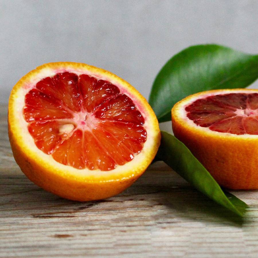 ＜魚鶴＞【もったいない！を食べよう】「ブラッドオレンジ」3kg