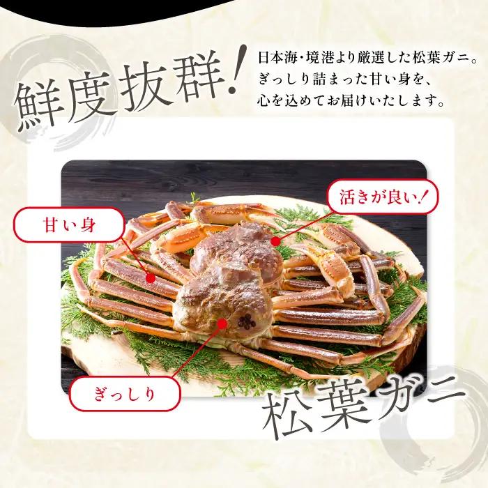 【活き】タグ付き松葉ガニ　大　１枚【松葉ガニ 松葉がに 松葉蟹 まつばがに かに カニ 冷蔵 チルド ブランド ズワイガニ 活き お祝い 冬 国産 季節限定 お取り寄せ 鳥取県 日吉津村 日本海】