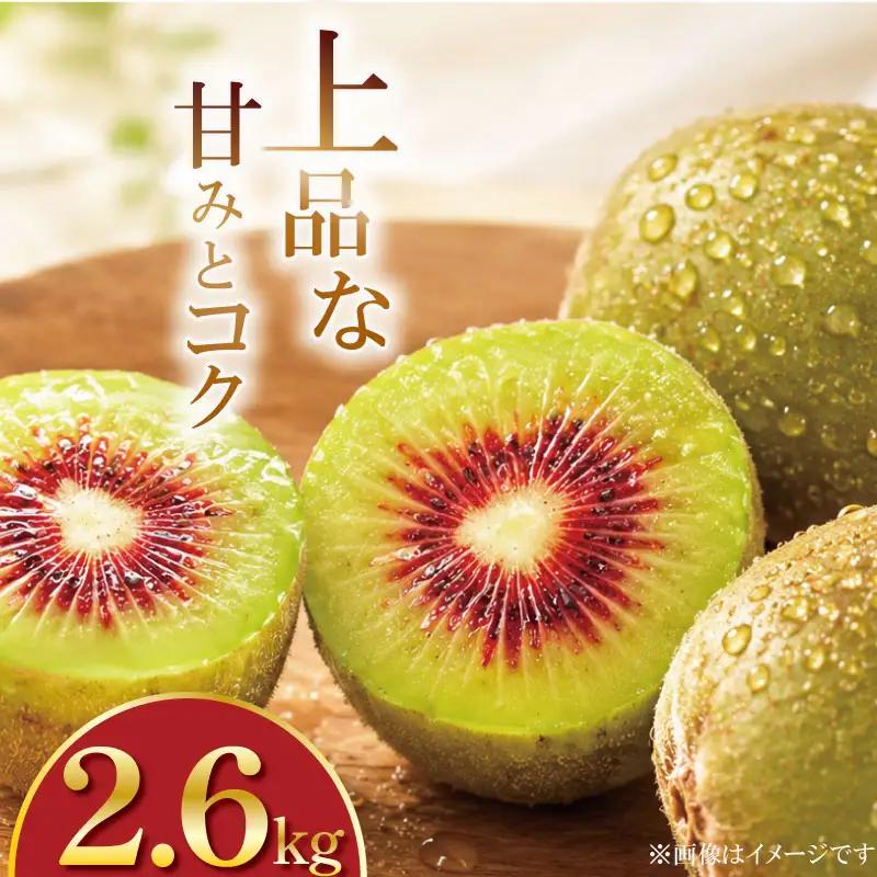 訳あり キウイフルーツ 紅妃 2.6kg 先行予約 2026年10月上旬～ キウイ