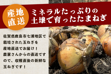 【先行予約】鹿島市産　玉ねぎ　10kg（MLサイズ）農家直送　５月以降発送予定　B-736