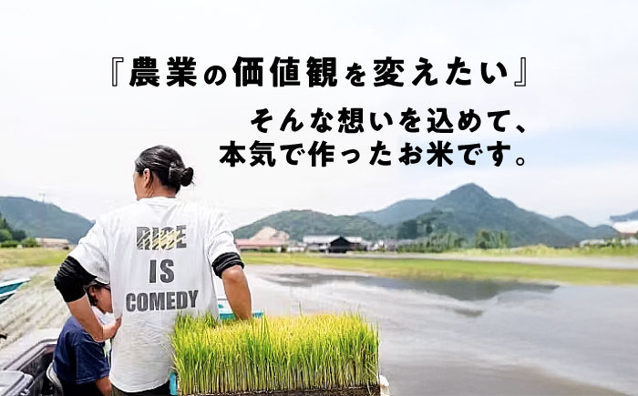 【全12回定期便】コシヒカリ 滋賀県西浅井町産「まるこ米」20kg（5kg×4）無洗米   米 お米 白米 こしひかり地域 応援