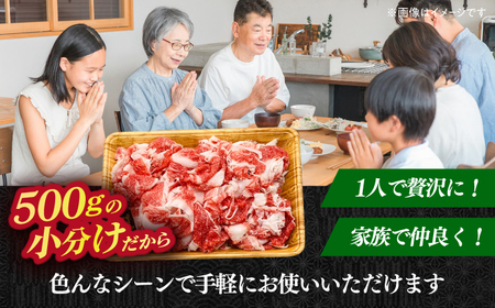 【全12回定期便】【たっぷり大容量！】博多和牛 切り落とし 1000g（500g×2p）《築上町》【株式会社MEAT PLUS】 [ABBP029] おすすめ切り落とし肉 定番切り落とし肉 切り落とし