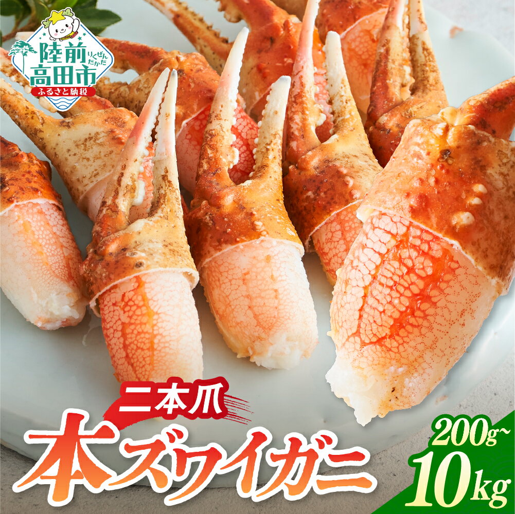 【ふるさと納税】本ズワイガニ 爪肉 内容量が選べる 200g/300g 1パック～50パック [ かに カニ 蟹 簡単 カニ脚 ズワイガニ 蟹脚 刺身 むき身 二本爪 おつまみ 贈答 贈り物 ギフト パーティー 海鮮丼 ずわい蟹 ズワイ蟹 ずわい ズワイ 大容量 業務用 お正月 鍋 おせち ]