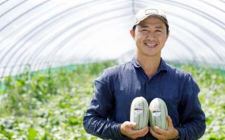 ＜2025年発送＞ともりん(カンロ)4kg(4～5玉)＜JAとまこまい広域取扱 むかわ町穂別特産品＞ 【 ふるさと納税 人気 おすすめ ランキング カンロ 甘露 メロン あじうり レア 珍しい 贈答 