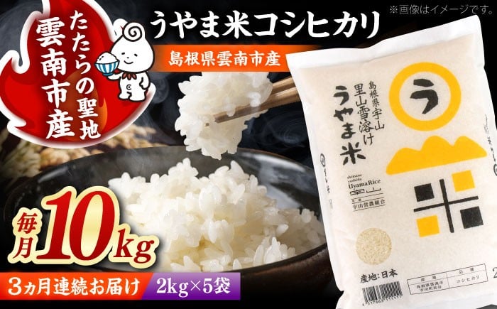 
            白米 【全3回定期便】神話の里/吉田町「うやま米」コシヒカリ 10kg（2kg×5）白米 精米 コメ おすすめ 人気 お米 米 ごはん ご飯 食卓 主食 ブランド米 お取り寄せ グルメ ご当地米 贈り物 贈答 家族 ファミリー 定期便 小分け 便利 毎月お届け 10キロ おいしい 国産 新生活 ストック 毎日 お弁当 朝ごはん 島根県雲南市/有限会社藤本米穀店 [AIDB079]
          