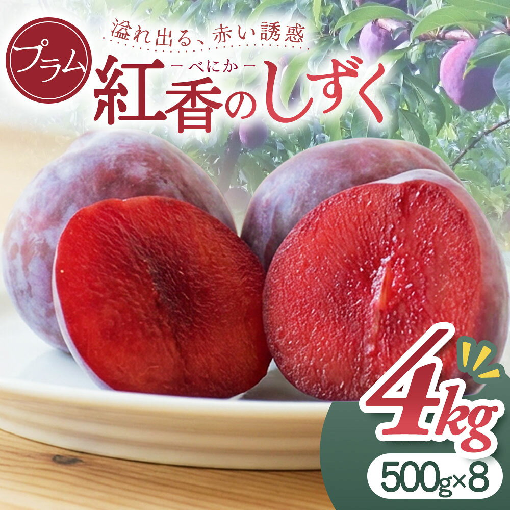 【ふるさと納税】プラム『紅香(べにか)のしずく』500g×8パック(8月中旬発送開始予定) 青森県 三戸町 AS-19-001