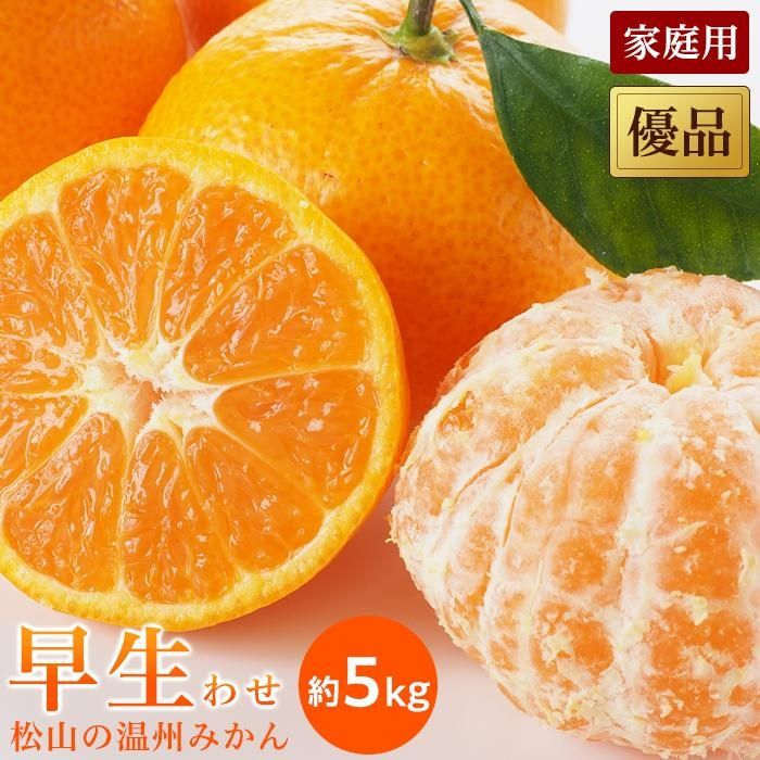 【ふるさと納税】【先行予約】【2025年11月中旬から発送予定】温州みかん 早生 優品 家庭用 約5kg 愛媛県 松山市 みかん 柑橘 果物 フルーツ 温州 みかん