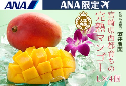 【ANA限定】西都産完熟マンゴーL×4個（約1.2ｋｇ）酒井農園《先行予約》＜1.7-6＞