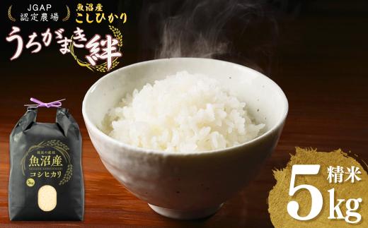 【JGAP認証農場】令和7年産 魚沼産コシヒカリ 精米5kg(5kg×1袋) うちがまき絆 | 新潟県産 コシヒカリ お米 米 おこめ こめ コメ こしひかり 精米 白米 魚沼産 ブランド米 人気 おすすめ 産地直送【0002-UK01-02】