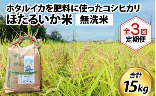 【先行予約】【新米】ほたるいか米（無洗米５kg）×3回 計15kg【3ヶ月定期便】25年10月開始【訳あり 米 コシヒカリ こしひかり ほたるいか ホタルイカ お米 ブランド米 富山 滑川】