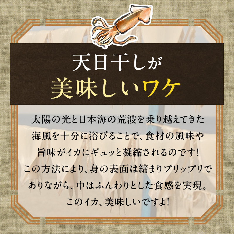 イカ 青森県産 一本釣りいか 使用 鰺ヶ沢 名物 天日生干しイカ セット （900g以上4枚～6枚入り） いか 干物 干物セット 国産 するめ スルメ スルメイカ 海鮮 魚介類 魚介 海産物 ※ ご入