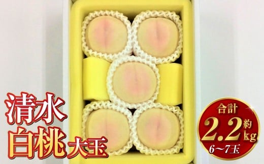 清水白桃（大玉）6～7玉（約2.2kg）岡山 名産品 清水白桃 贈りもの 柔らかい【2026年7月下旬～8月上旬迄順次発送予定】