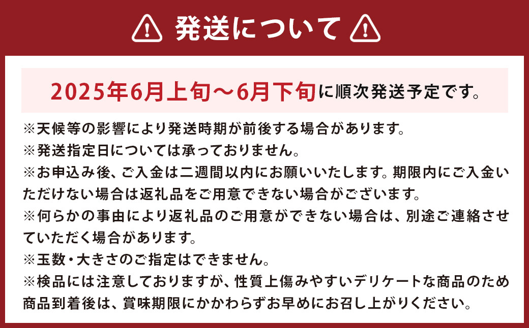 長浦すいか（M玉以上）1玉【2025年6月上旬～6月下旬迄発送予定】