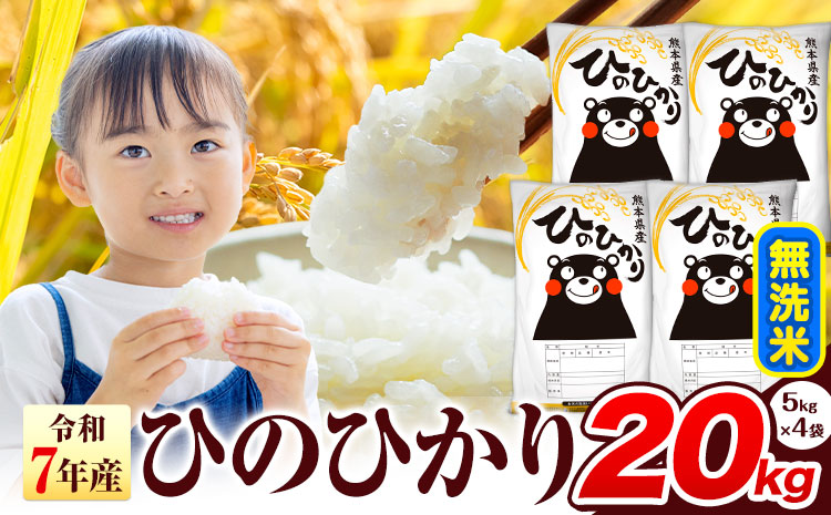 令和7年産 ひのひかり 無洗米 20kg 《7-14日以内に出荷予定(土日祝除く)》 熊本県産 無洗米 精米 氷川町 ひの 送料無料 ヒノヒカリ コメ 便利 ブランド米 お米 おこめ 熊本 SDGs-