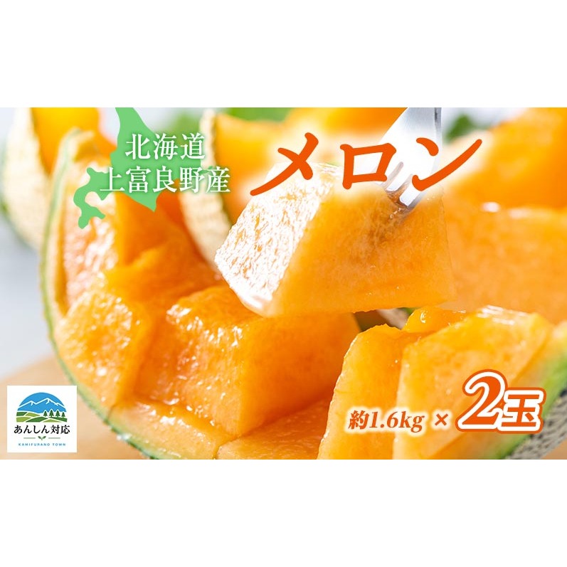 【令和8年産】先行予約 メロン かみふらの 赤肉 メロン 約 1.6kg 2玉 セット めろん 果物 フルーツ デザート くだもの 旬の果物 旬のフルーツ 北海道 上富良野 産地直送