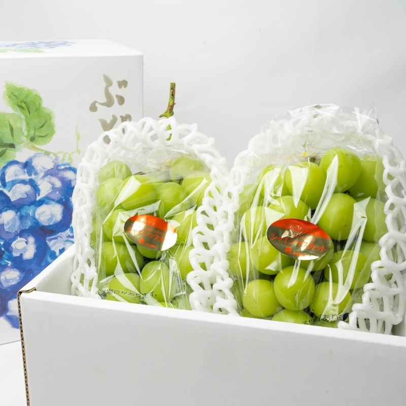 ハウス育ち シャインマスカット約１kg　2房化粧箱入り 果物