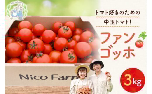 【先行予約：2026年7月下旬頃より発送】NicoFarm ファンゴッホ（中玉トマト）3Kg