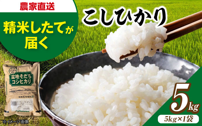 盆地そだちこしひかり 5kg 令和7年産 米 こめ 白米 精米 ご飯 三次市 / 福田農場 [APBM027]