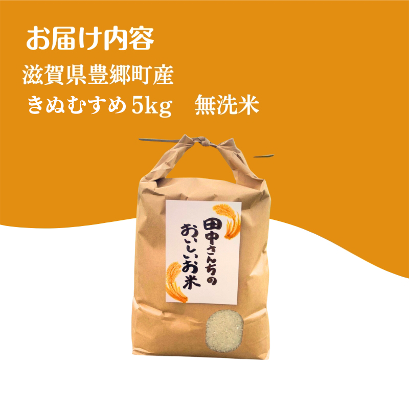 【12月～1月までの限定寄附額】 米 5kg きぬむすめ 田中さんちのおいしいお米 無洗米 CP1201