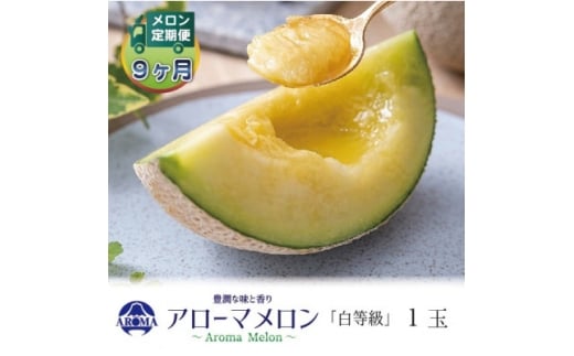 ＜毎月定期便＞アローマメロン(白等級) 1玉　全9回【4071981】