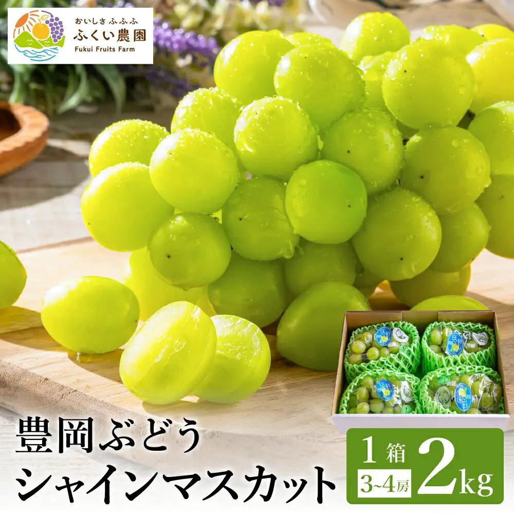 シャインマスカット 豊岡ぶどう 約2kg【2026年先行予約】