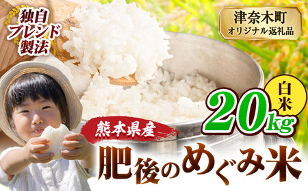 熊本県産 白米 ブレンド米 肥後のめぐみ米 20kg 熊本県産 ふるさと納税 精米 米 こめ ふるさとのうぜい コメ お米 おこめ《7-14日以内に出荷予定(土日祝除く)》