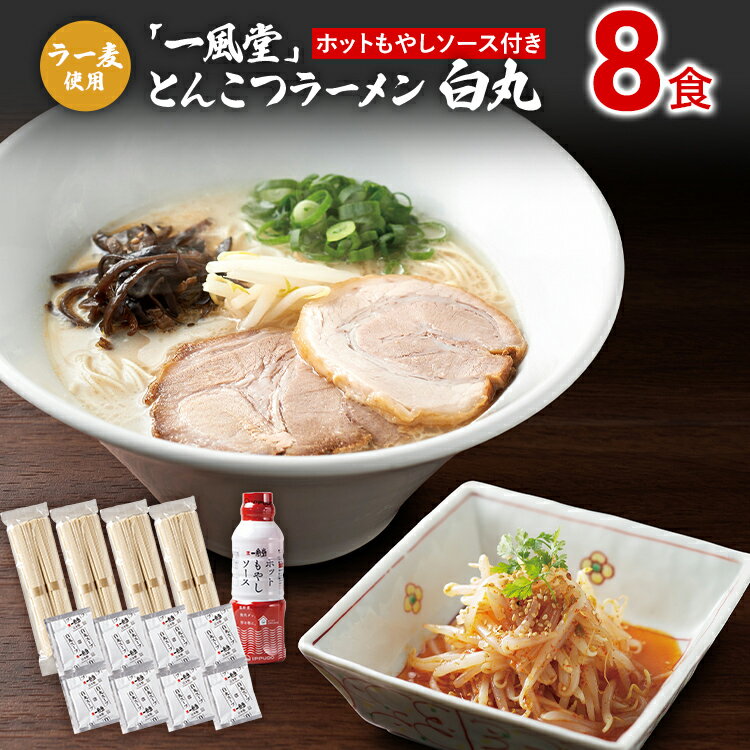 【ふるさと納税】ラー麦使用「一風堂」とんこつラーメン 白丸(8食)【ホットもやしソース付き】 豚骨ラーメン ピリ辛 ストレート麺 お取り寄せグルメ お取り寄せ 福岡 お土産 九州 ご当地グルメ 福岡土産 取り寄せ グルメ 福岡県 食品