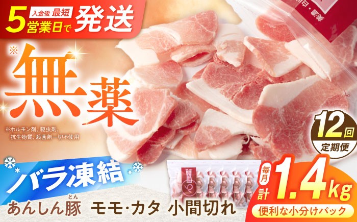 
                  【12回定期便】《バラ凍結》 無薬育ちの豚肉 あんしん豚 モモ・カタ 小間切れ 1.4kg（280g×5袋）豚肉 定期便 小分け 薄切り 豚こま 国産 国産豚肉 無薬育ち 薬不使用 大容量 切り落とし 豚コマ 豚小間 冷凍 ストック 大容量 無薬育ち 切り落とし 豚切り落とし 豚こまぎれ 豚こま切れ ぶたこま モモ肉 カタ肉 白川町 / 藤井ファーム[AWAF032]
                