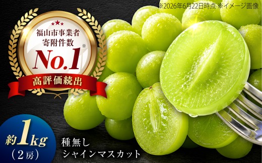 シャインマスカット 【先行予約】沼隈産 2房 約1kg ＜2026年9月上旬～発送開始＞ / シャインマスカット しゃいんますかっと シャイン マスカット ますかっと Shine Muscat 2房 1kg 種なし 皮ごと 大粒 葡萄 ブドウ ぶどう 旬 フルーツ ふるーつ fruit くだもの 果実 人気 広島県 広島県産 福山市産 沼隈産 国産 新鮮 【福山市農業協同組合】 [BAEV005]