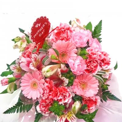 ふるさと納税 藤枝市 【母の日に!】カーネーションアレンジメント　ピンク系