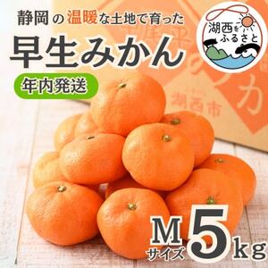 【先行受付】【11月より順次出荷予定】早生みかん約5kg Mサイズ〔鈴木農園〕【1510109】