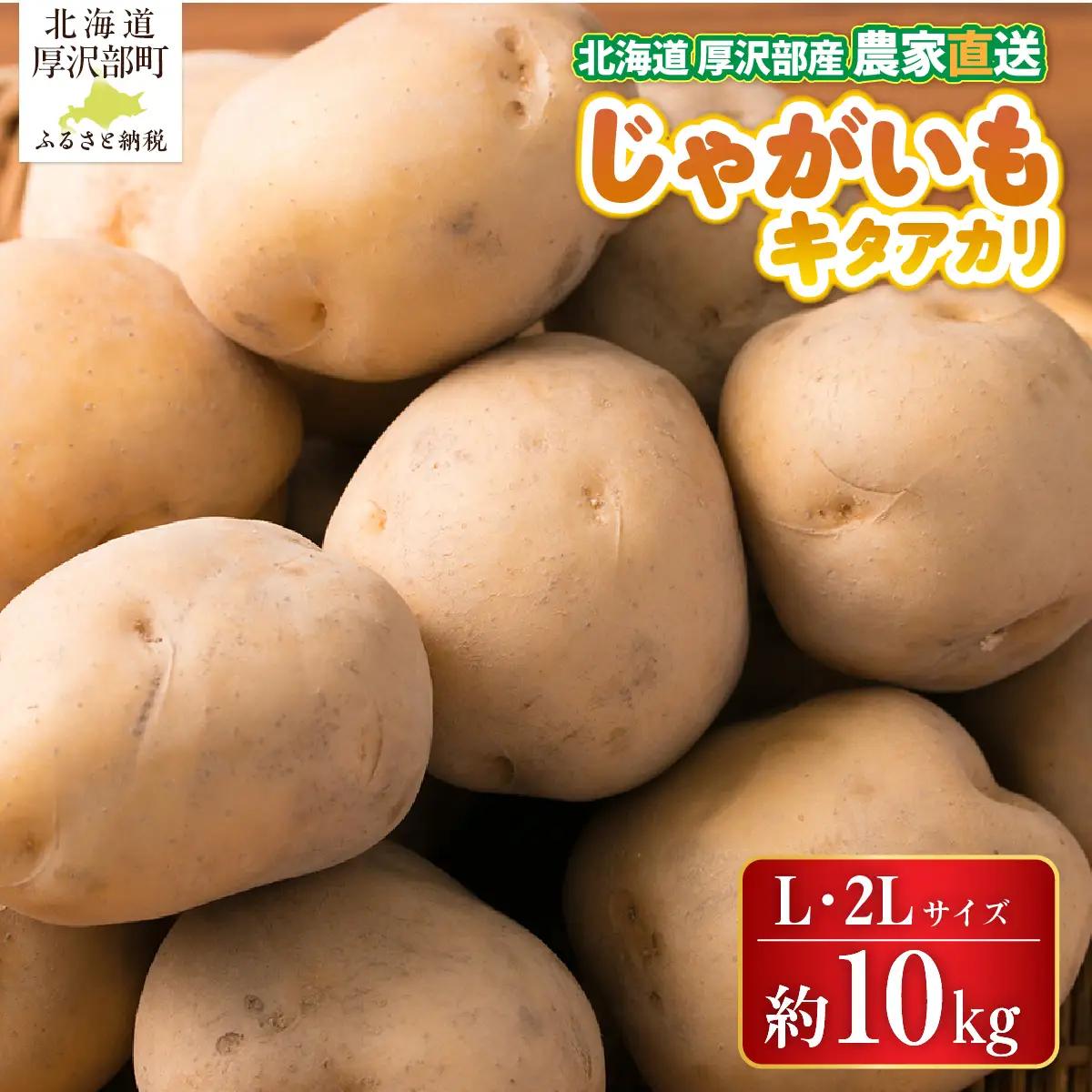 【2026年9月下旬より発送】北海道厚沢部町産 キタアカリ 約10kg【L・2Lサイズ】 ASO038