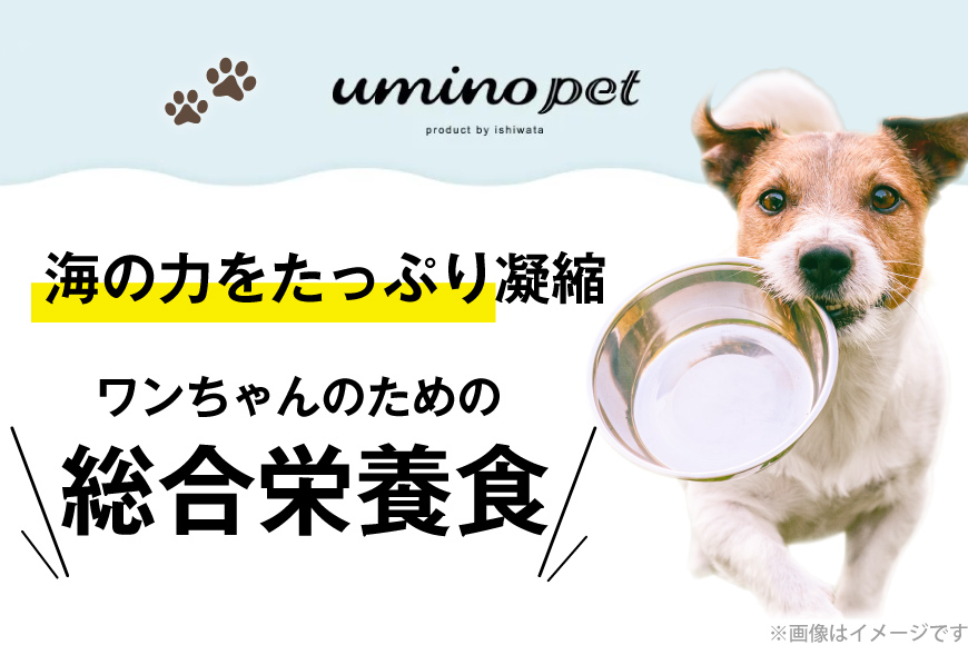 ドッグフード UMINO PET 総合栄養食 800g 1袋 [石渡商店 宮城県 気仙沼市 20565993] 犬 ドックフード ヒューマングレード 成犬用 サメ肉 犬用 成犬 サメ ペット ペットフ