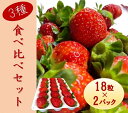 【ふるさと納税】シエルファーム 大粒いちご 18粒 3品種 食べ比べ 2パック / 大粒 高級 いちご 苺