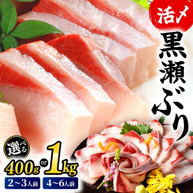【ふるさと納税】高評価！活じめ！黒瀬ぶりの生鮮ブリロイン 2節~3節 400g 1kg 刺身 海鮮 海産物 魚 水産物 海鮮丼 ぶりしゃぶ 生食 冷蔵 しゃぶしゃぶ 国産 ブリ 贈答用 おすそ分け ふるさと お刺身 食品 お歳暮 ぶり大根 鮮魚 人気 おすすめ 送料無料 宮崎県 串間市