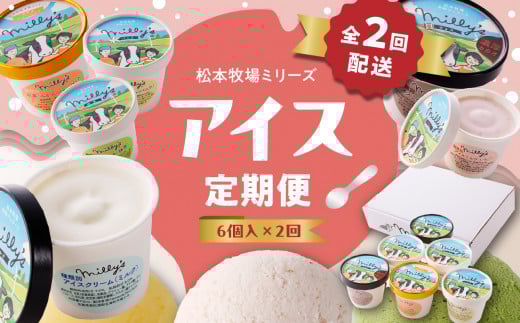 松本牧場アイス定期便（6個入り×2回） 〜本格ジェラート＆シャーベット〜 ／ 氷菓子 自然豊か 松本牧場 搾りたて 新鮮なミルク 玄海町産素材使用 いちご みかん チョコチップ 本格ジェラート シャーベット アイスクリーム